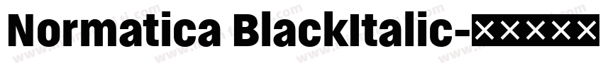 Normatica BlackItalic字体转换